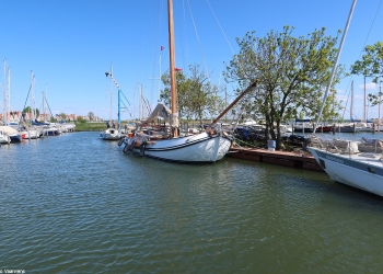 Herman 126